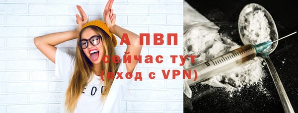 гидра Алексеевка