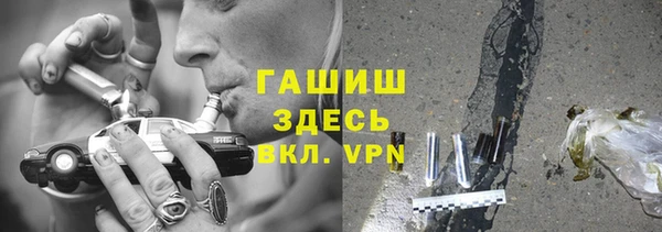 гашик Алексин