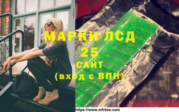 гашик Алексин