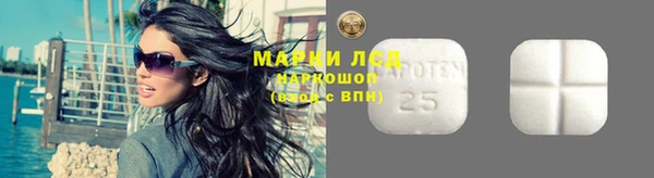 гидра Алексеевка