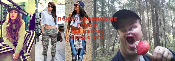 гидра Алексеевка