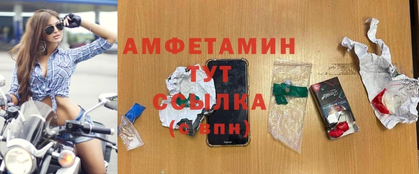 гидра Алексеевка