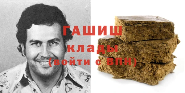 гашик Алексин