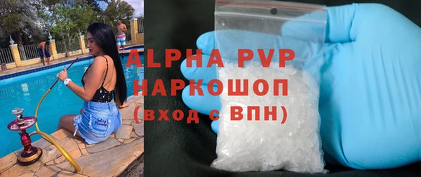 гашик Алексин