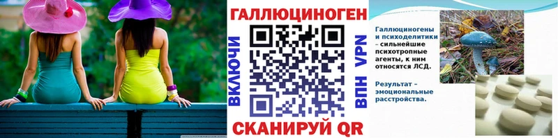 Купить Снежинск Галлюциногенные грибы Cubensis